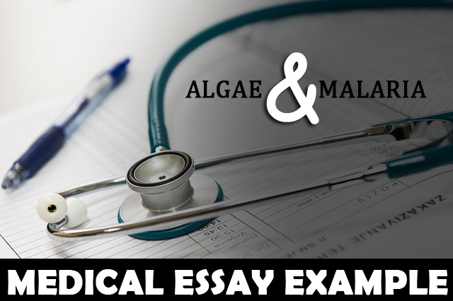 English Literature Essay Topics Medical Essay Example Algae Malaria English Essay Topics For Students also Compare And Contrast Essay Papers Medical Essay Example Algae Malaria Highschool Gems English Extended Essay Topics